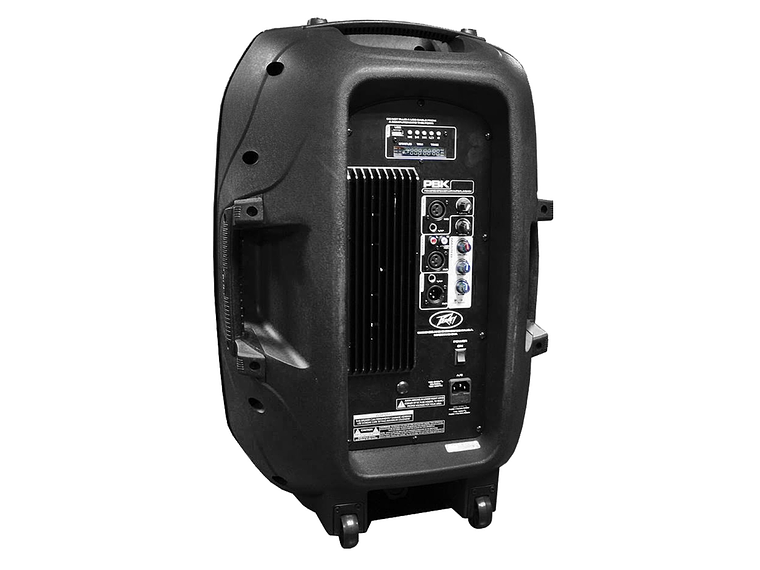 PARLANTE POTENCIADO PBK-15P PEAVEY 2