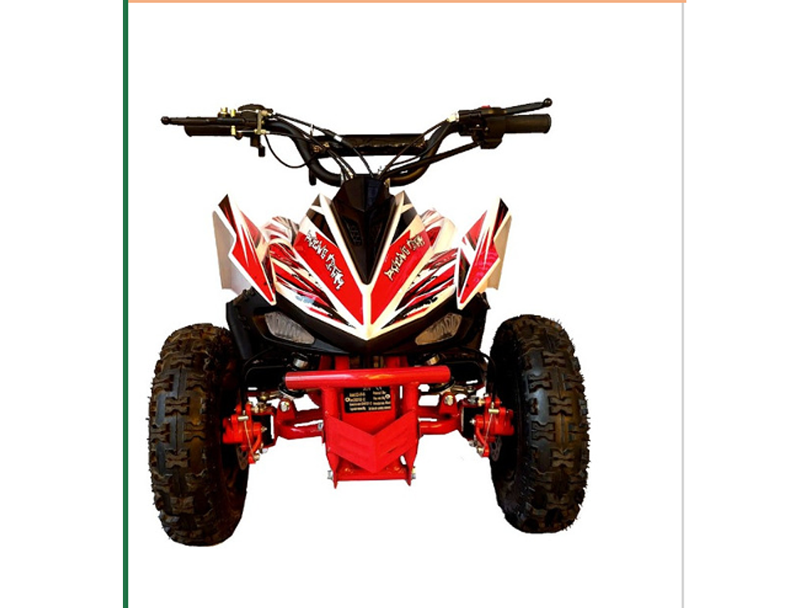 CUATRIMOTO RAPTOR 49CC 1