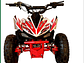 CUATRIMOTO RAPTOR 49CC - Miniatura 1