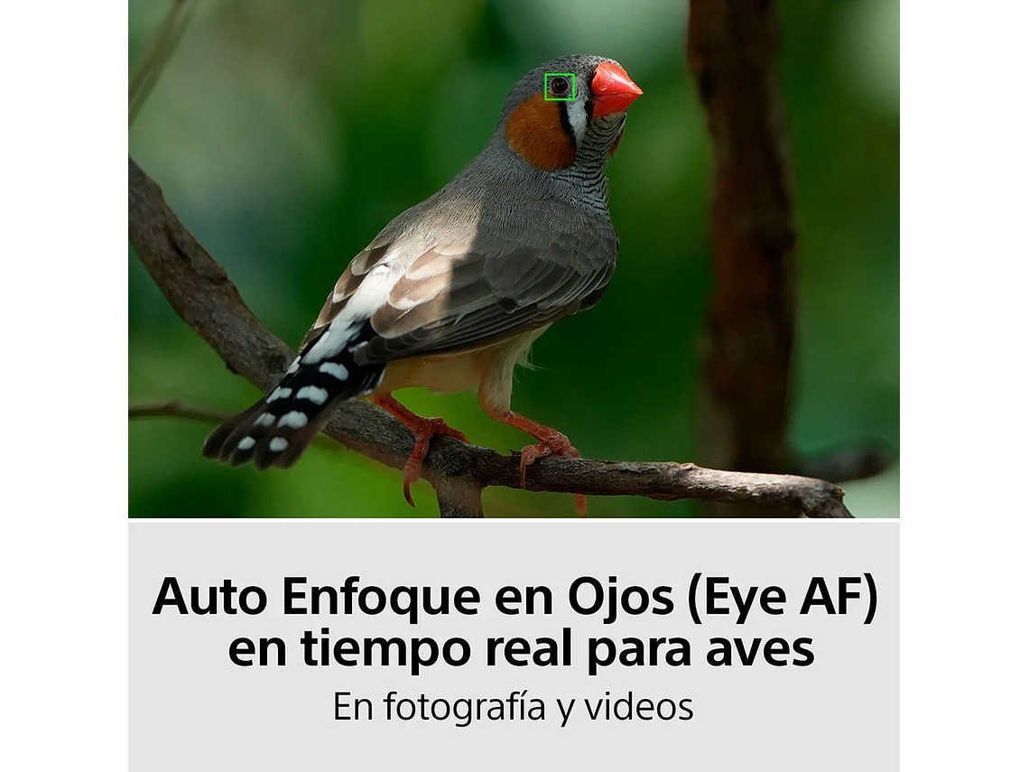 CAMARA FULL FRAME ILCE-7M4 7