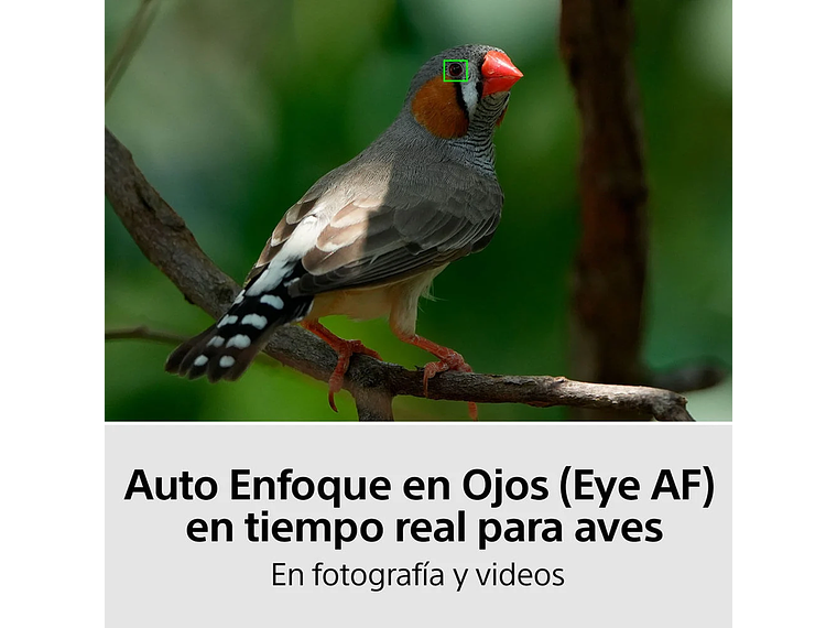 CAMARA FULL FRAME ILCE-7M4 7