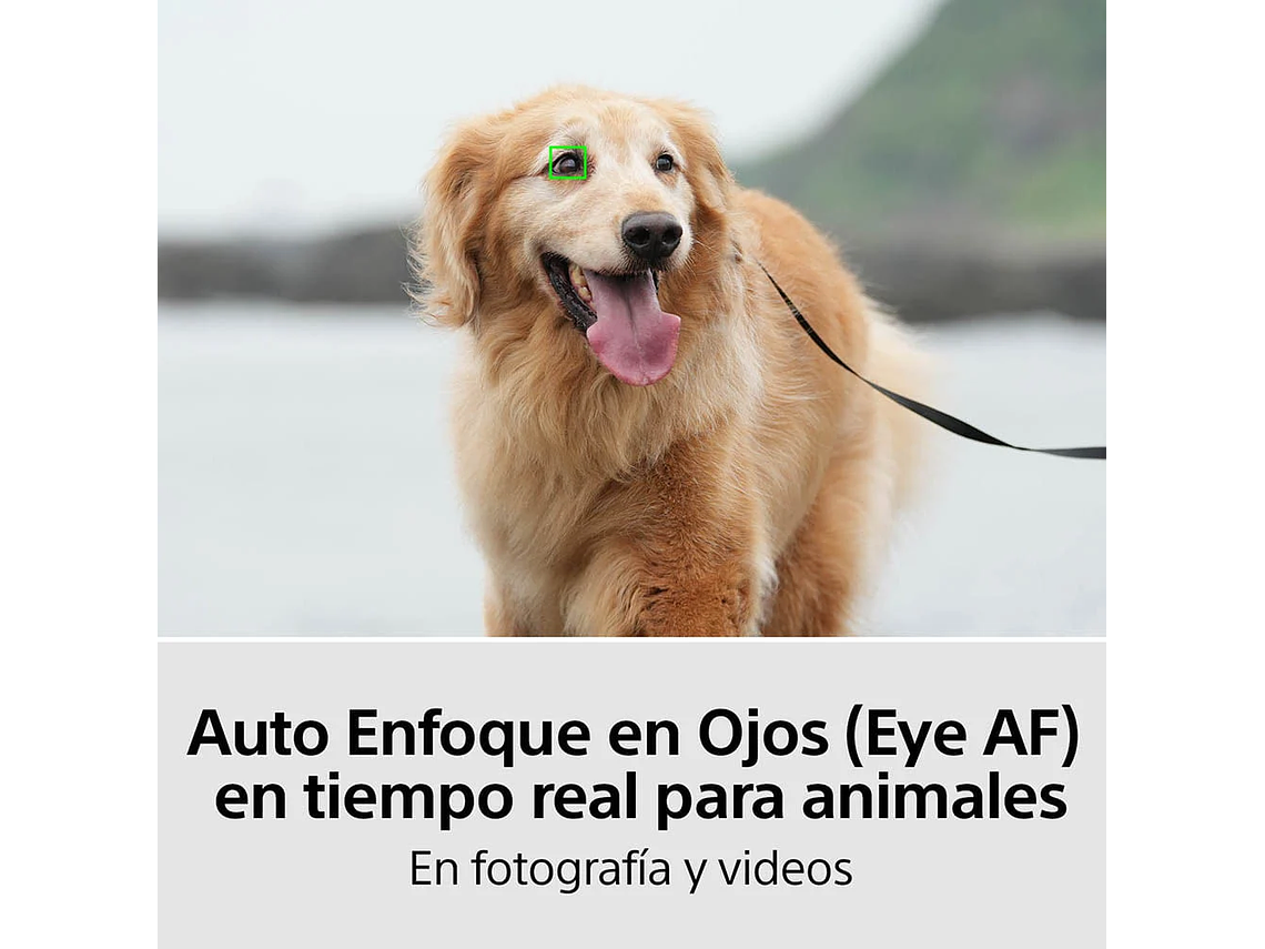 CAMARA FULL FRAME ILCE-7M4 8