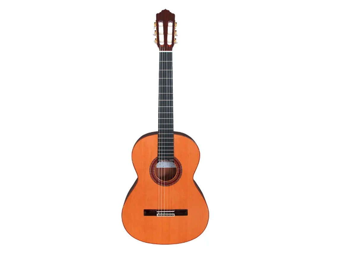 GUITARRA CLÁSICA ALMANSA CONSERVATORIO 434 1