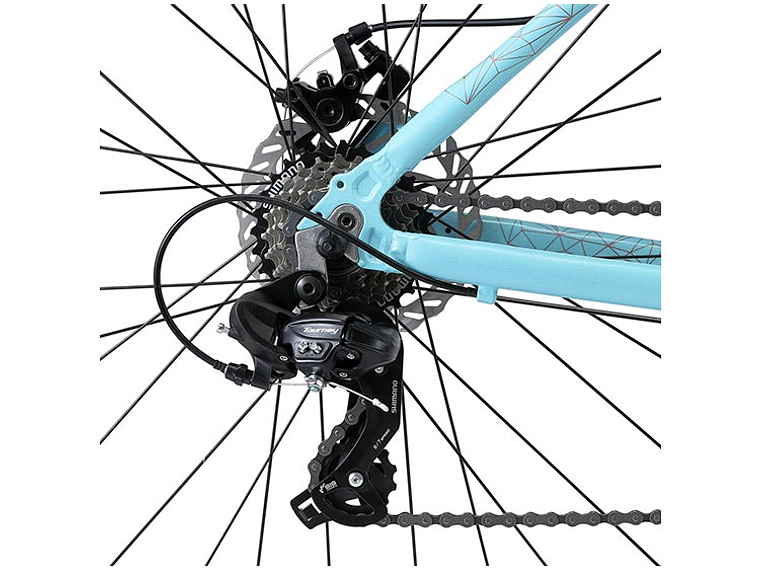 BICICLETA OXFORD 29 VENUS 1 21V  VERDE 4