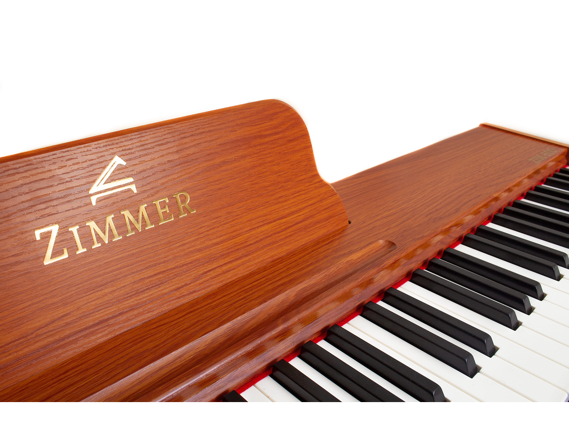PIANO ZIMMER DIGITAL PORTABLE ZIM-800-NT 2