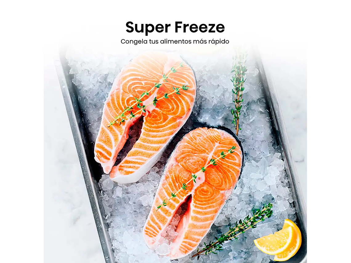 REFRIGERADOR HISENSE BOTTOM FREEZER NO FROST 300 L RD-39WC 8