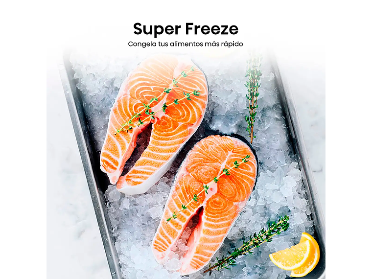 REFRIGERADOR HISENSE BOTTOM FREEZER NO FROST 300 L RD-39WC 8