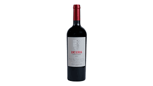 12 BOTELLAS VINO TINTO ENCIERRA CARMENERE 2023, 100% CARMENERE