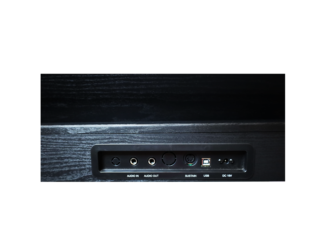 PIANO DIGITAL ZIM-500 ZIMMER, BLK 5