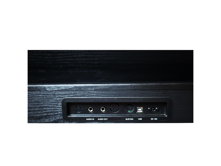 PIANO DIGITAL ZIM-500 ZIMMER, BLK 5