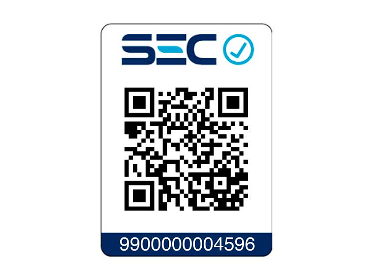 CALEFONT GAS LICUADO 16 LITROS TIRO BALANCEADO BALANCED ECO 6