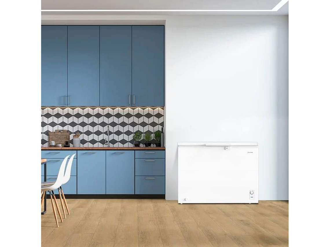 CONGELADOR FREEZER FENSA HORIZONTAL 290L FRÍO DIRECTO Z300D 4