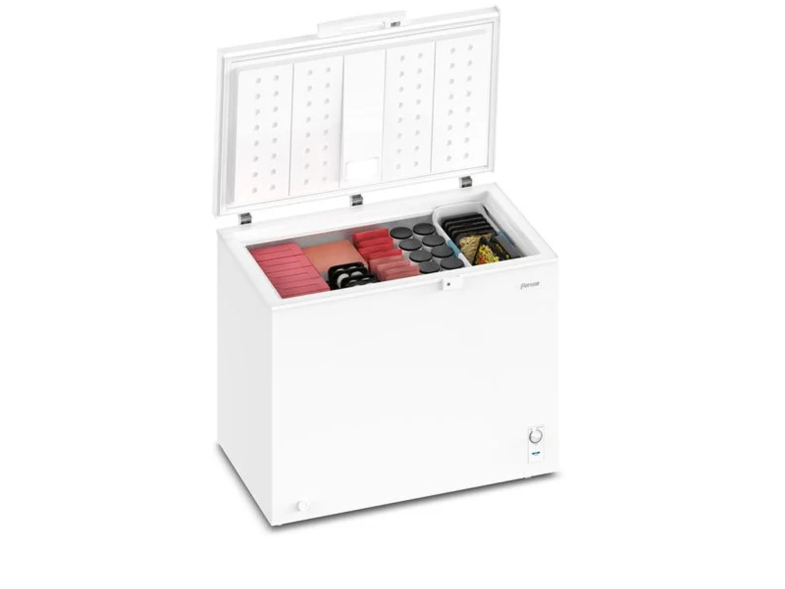 CONGELADOR FREEZER FENSA HORIZONTAL 290L FRÍO DIRECTO Z300D 6