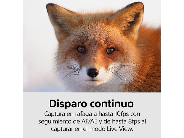 CÁMARA MIRRORLESS FULL-FRAME ILCE-7M3K 5