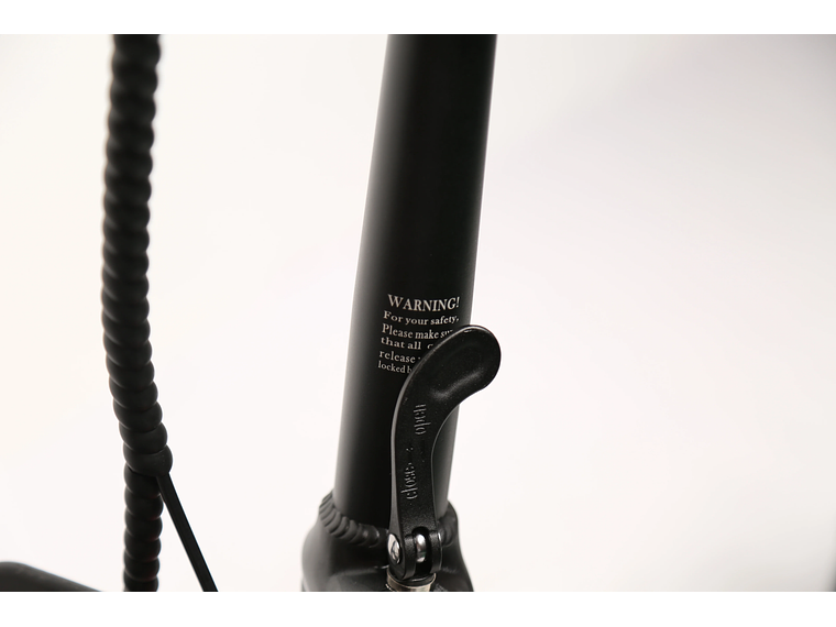 SCOOTER EWAY FAT LAND RAMBLER 6