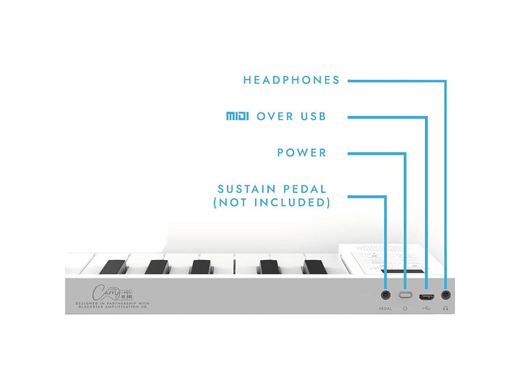 TECLADO PLEGABLE CARRY ON DONNER FP49, MADE IN MÉXICO 2
