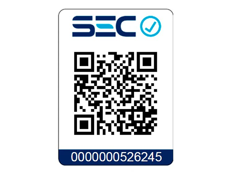 CAMPANA CONVENCIONAL FDV ELITE 60 4