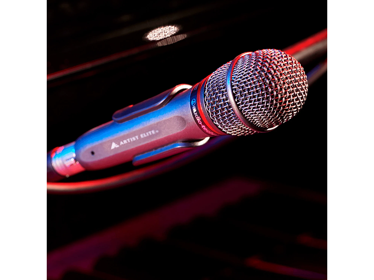 MICRÓFONO HÍPERCARDIOIDE DINÁMICO AE6100 - AUDIO-TECHNICA 2