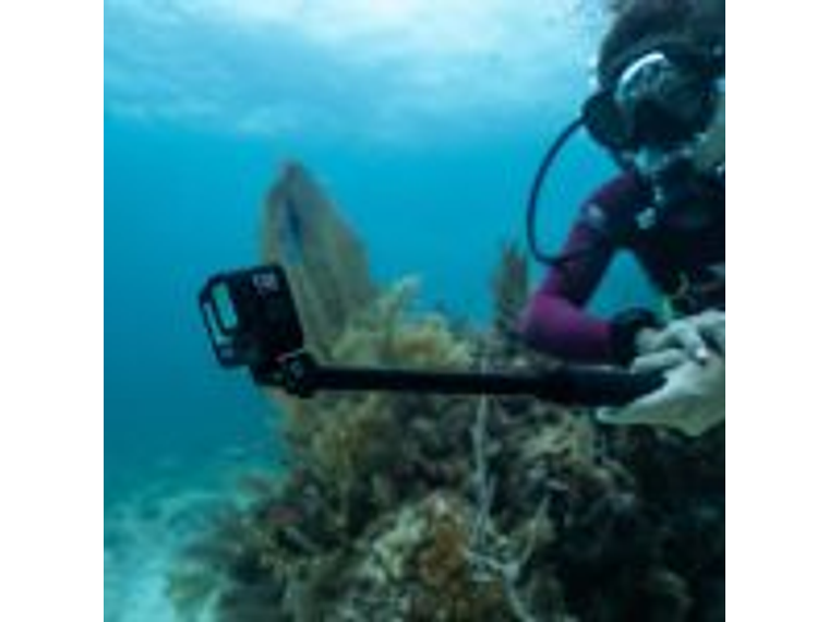 KIT GOPRO HERO 13 BLAC SPECIALITY BUNDLE+ MEMORIA 64 GB 1