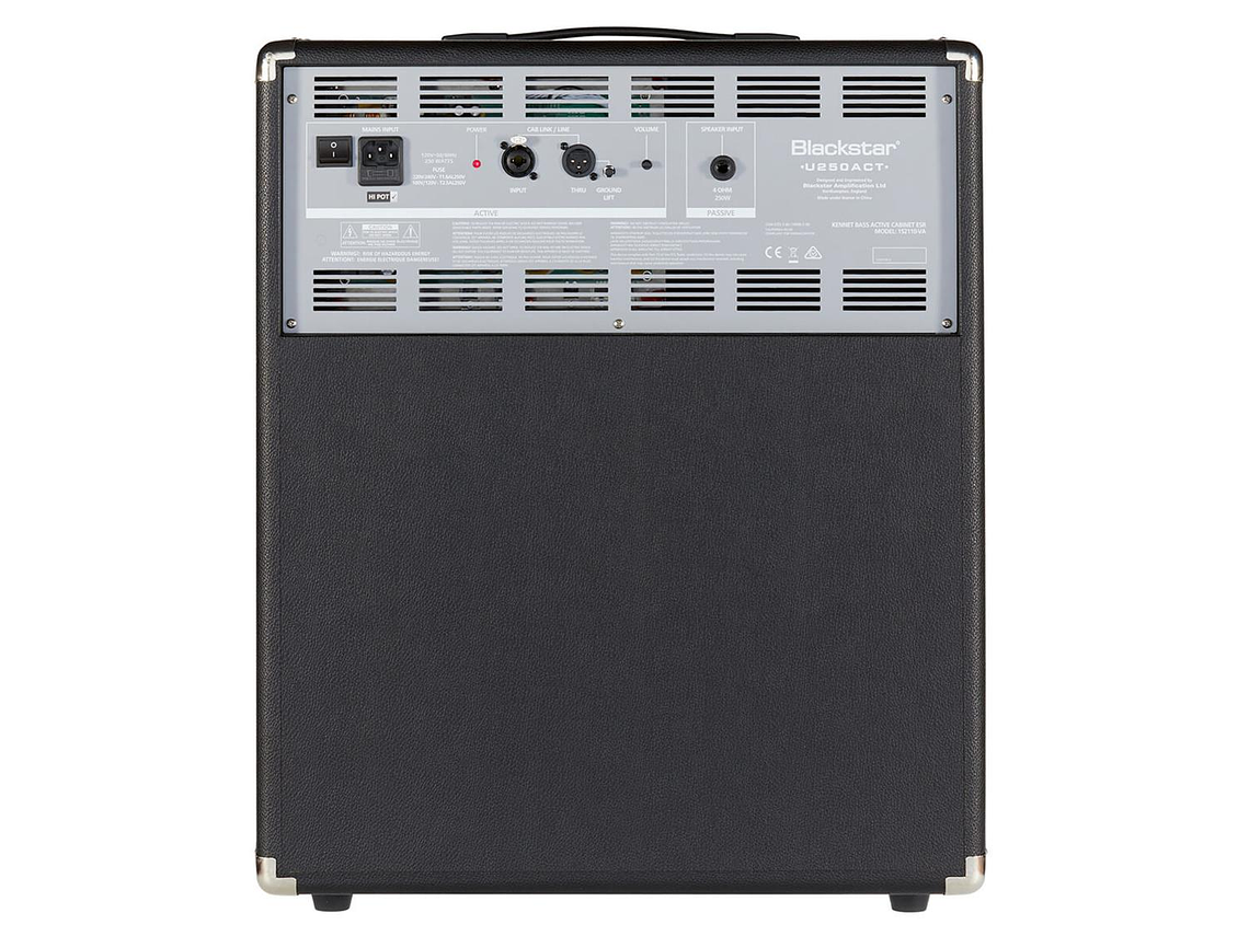 GABINETE AMPLIFICADOR PARA BAJO UNITY PRO BASS 1X15' 250W 3