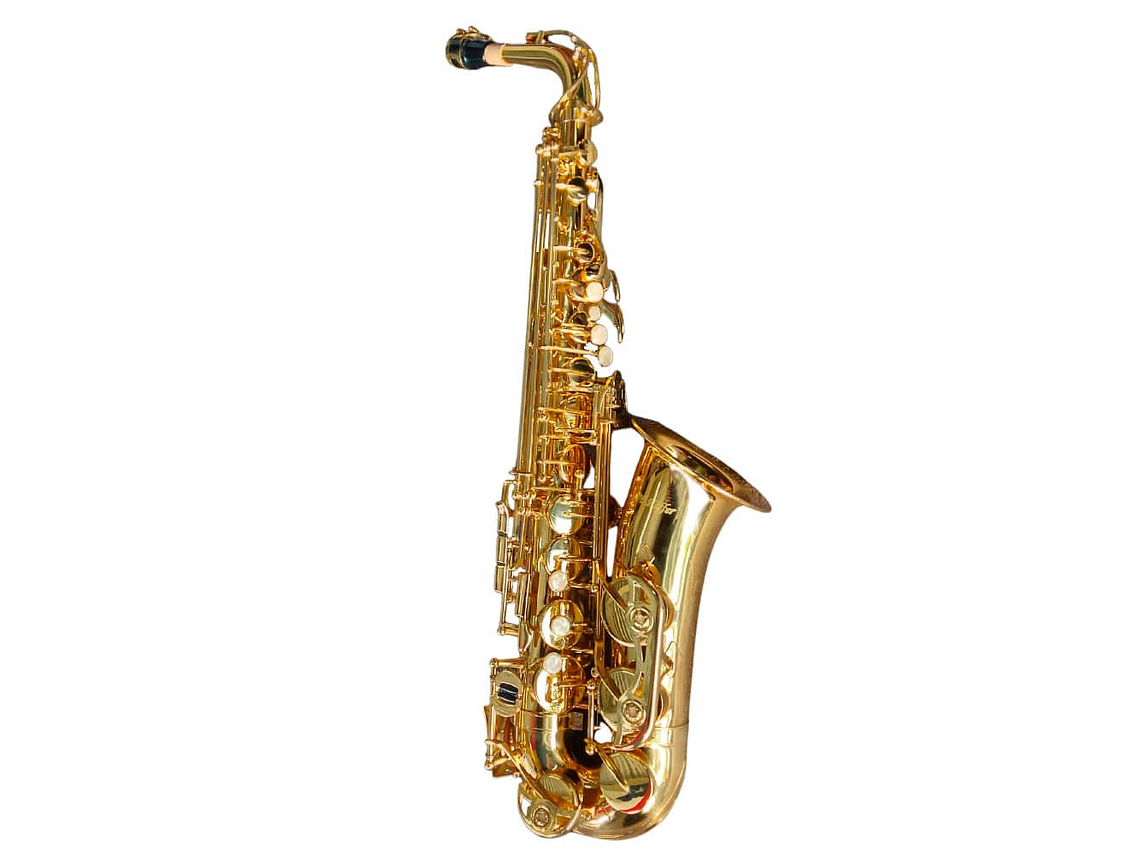 SAXOFÓN ALTO ESTUDIANTE HAS100 HOFFER 1