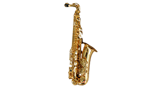 SAXOFÓN ALTO ESTUDIANTE HAS100 HOFFER