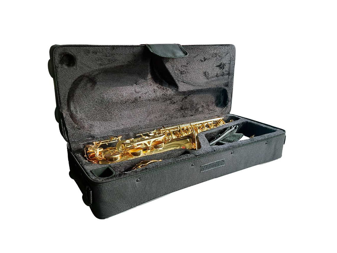 SAXOFÓN ALTO ESTUDIANTE HAS100 HOFFER 3