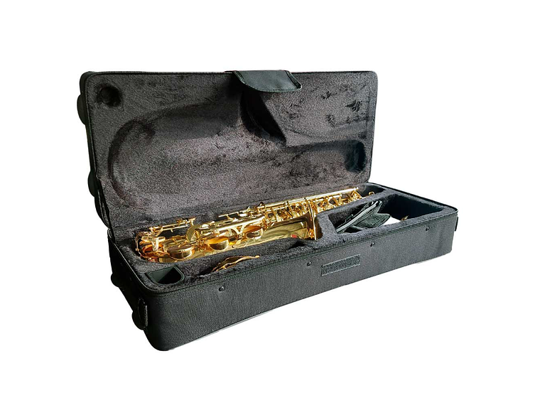 SAXOFÓN ALTO ESTUDIANTE HAS100 HOFFER 3