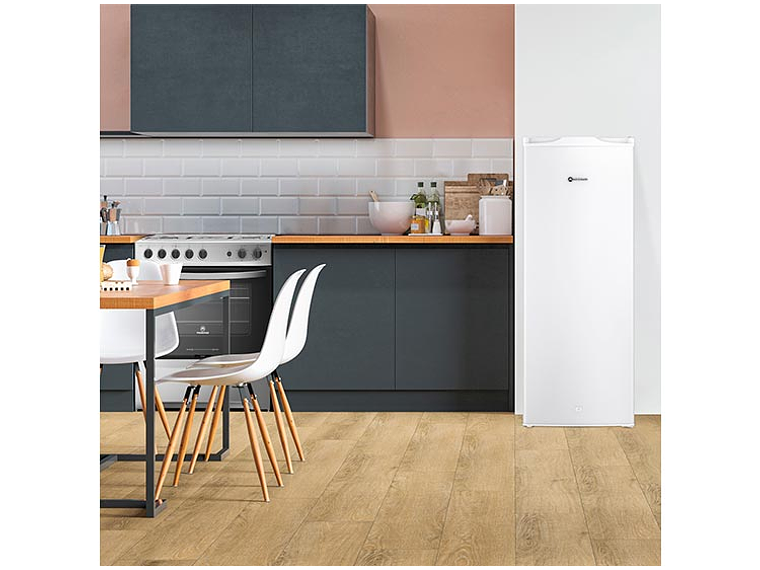 CONGELADOR VERTICAL MADEMSA 157 L FRÍO DIRECTO MFV 645 B 6