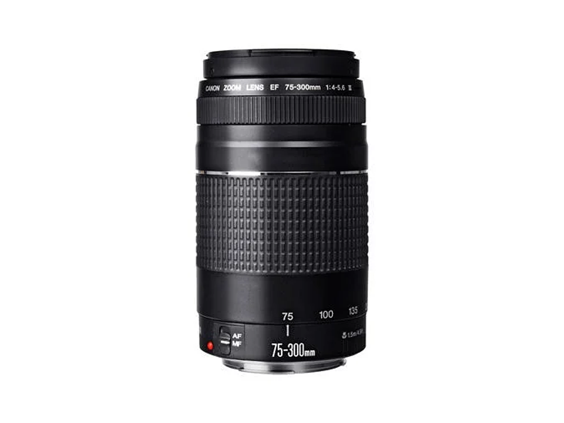 CANON EOS REBEL T100 PREMIUM KIT 4