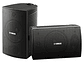 PARLANTES EXTERIOR ALTO RENDIMIENTO YAMAHA NS-AW294 6,5 - Miniatura 1