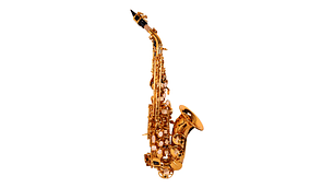 SAXO ETINGER SOPRANINO MODSS-40