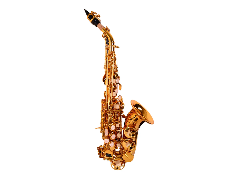 SAXO ETINGER SOPRANINO MODSS-40 1