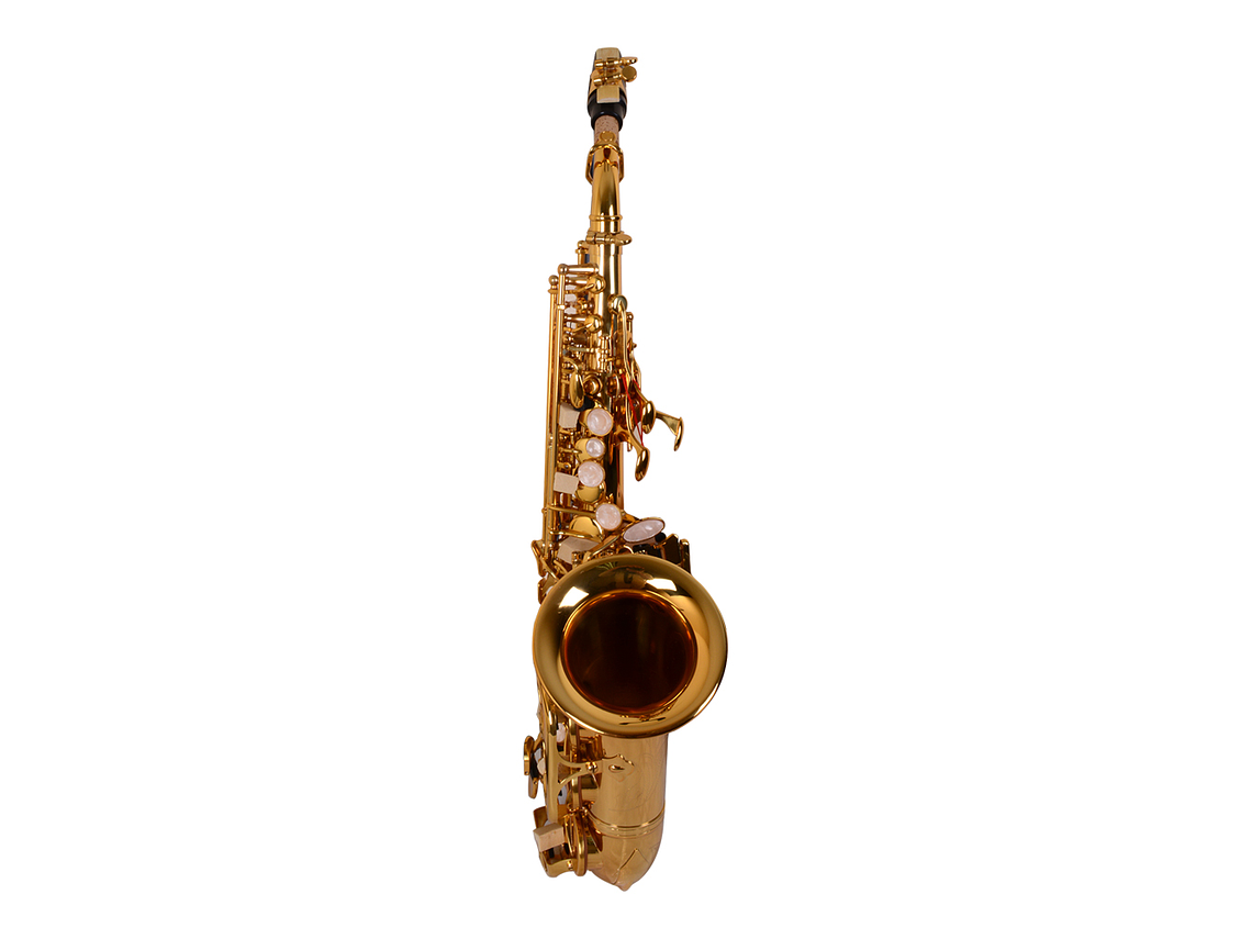 SAXO ETINGER SOPRANINO MODSS-40 2