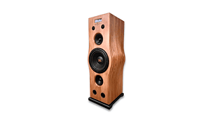 SISTEMA DE AUDIO TORRE EN MADERA NATIVA MODELO STLX1