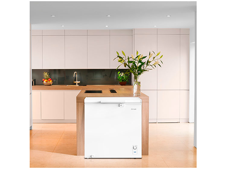 FREEZER HORIZONTAL FENSA 198 L DUAL Z200D 6