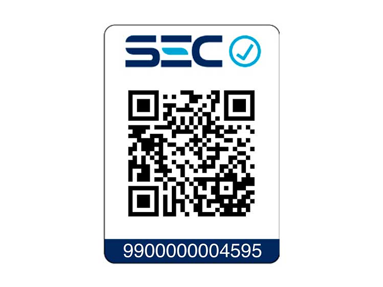 CALEFONT GAS LICUADO 13 LITROS TIRO BALANCEADO BALANCED ECO 6