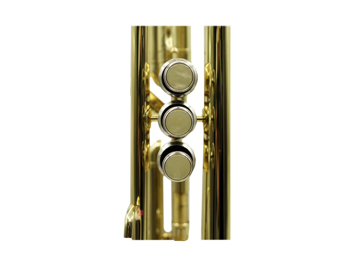 TROMPETA  EN DORADA CON ESTUCHE PS SI BEMOL 4