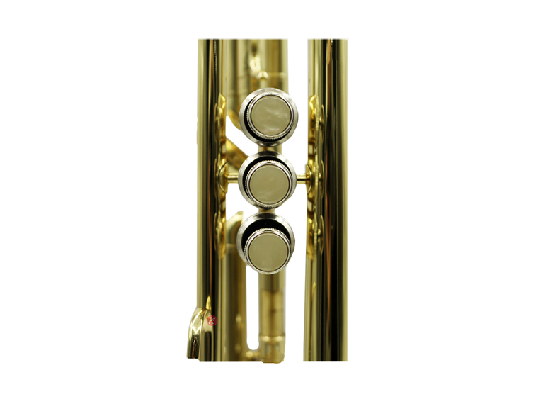 TROMPETA  EN DORADA CON ESTUCHE PS SI BEMOL 4