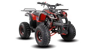 MOTO PARA NIÑOS MOTOKID RIDER 125