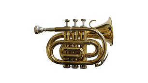 TROMPETA ALLEGRO POCKET BB DORADA ALL6417L