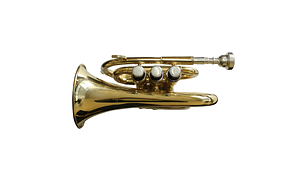 TROMPETA ALLEGRO POCKET BB DORADA ALL6417L