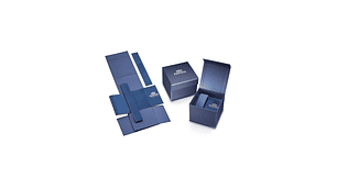 RELOJ FESTINA HOMBRE F20361/2 PRESTIGE