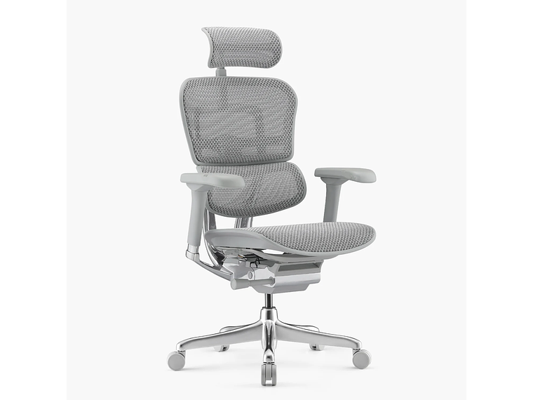 SILLA ERGOHUMAN ELITE 2 GRIS CLARO FORM 2