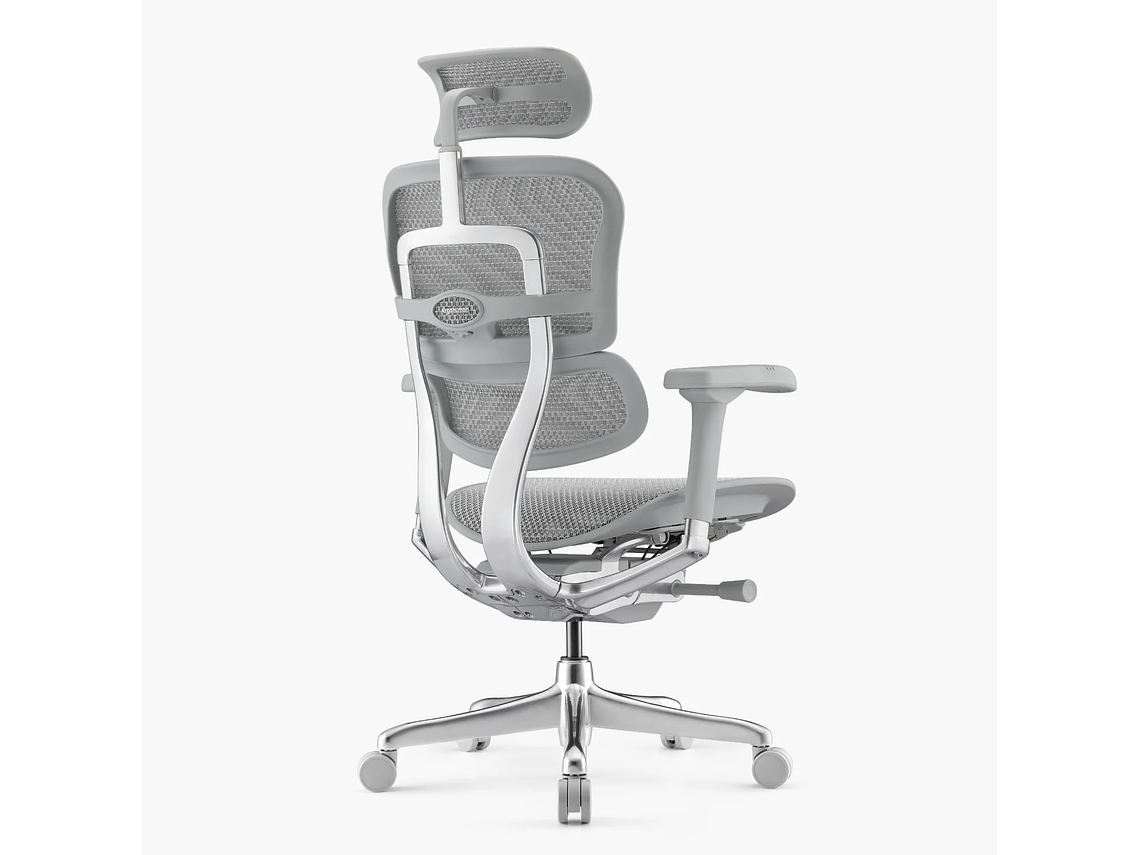 SILLA ERGOHUMAN ELITE 2 GRIS CLARO FORM 4