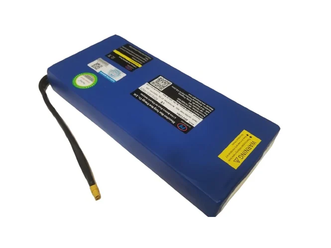 BATERIA NUEVA 60V 12AH LITIO ENTREGA INMEDIATA 1