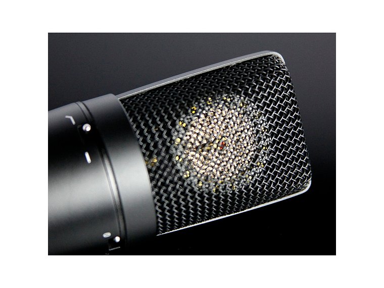 MICROFONO CONDENSADOR TASCAM TM-180 3