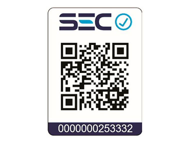 CAMPANA SINDELEN 60 CM CA-635PNG SLIM 4