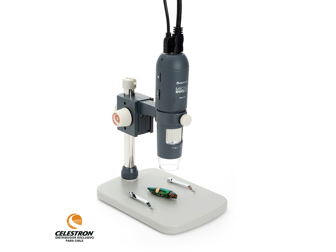 MICROSCOPIO CELESTRON MICRODIRECT 1080P 1