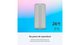 PARLANTE INALÁMBRICO PORTÁTIL XE300 DE LA SERIE X GRIS